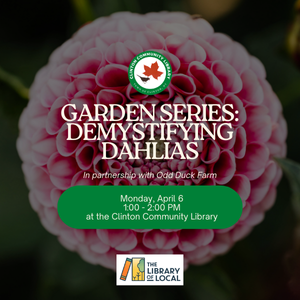 Garden Series: Demys